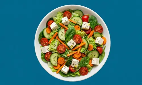 Chennai Salad Factory